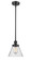 Ballston Urban One Light Mini Pendant in Matte Black (405|916-1S-BK-G44)