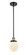 Ballston Urban One Light Mini Pendant in Black Antique Brass (405|916-1S-BAB-G201-6)