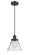 Ballston Urban One Light Mini Pendant in Matte Black (405|916-1P-BK-G42)