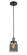Ballston Urban LED Mini Pendant in Black Antique Brass (405|916-1P-BAB-G53-LED)
