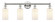 Edison Four Light Bath Vanity in Polished Nickel (405|616-4W-PN-G801)