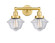 Edison Two Light Bath Vanity in Satin Gold (405|616-2W-SG-G532)