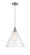 Edison One Light Pendant in Brushed Satin Nickel (405|616-1P-SN-GBC-164)