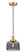 Edison LED Mini Pendant in Satin Gold (405|616-1PH-SG-G73-LED)
