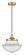 Edison One Light Mini Pendant in Satin Gold (405|616-1PH-SG-G542)