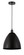 Edison One Light Mini Pendant in Matte Black (405|616-1P-BK-MBD-12-BK)