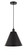 Edison One Light Mini Pendant in Matte Black (405|616-1P-BK-MBC-12-BK)