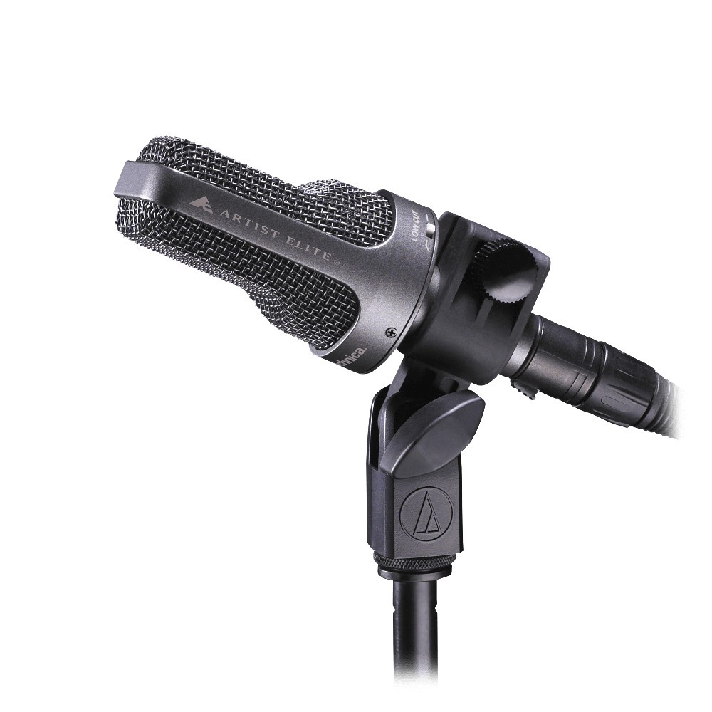 Audio-Technica AE-3000 Large-Diaphragm Cardioid Instrument Microphone