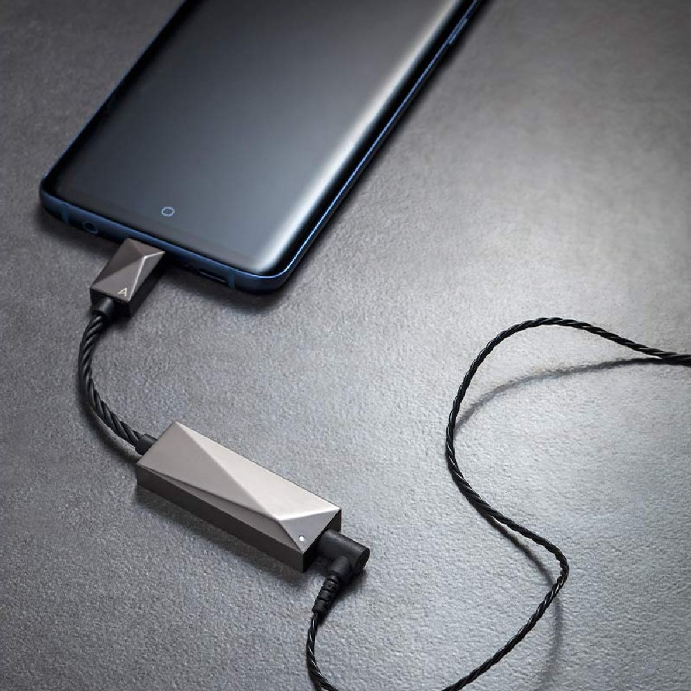 Astell & Kern AK PEE51 USB-C Dual DAC Cable