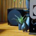 Focal SUB 600P Subwoofer (Black)