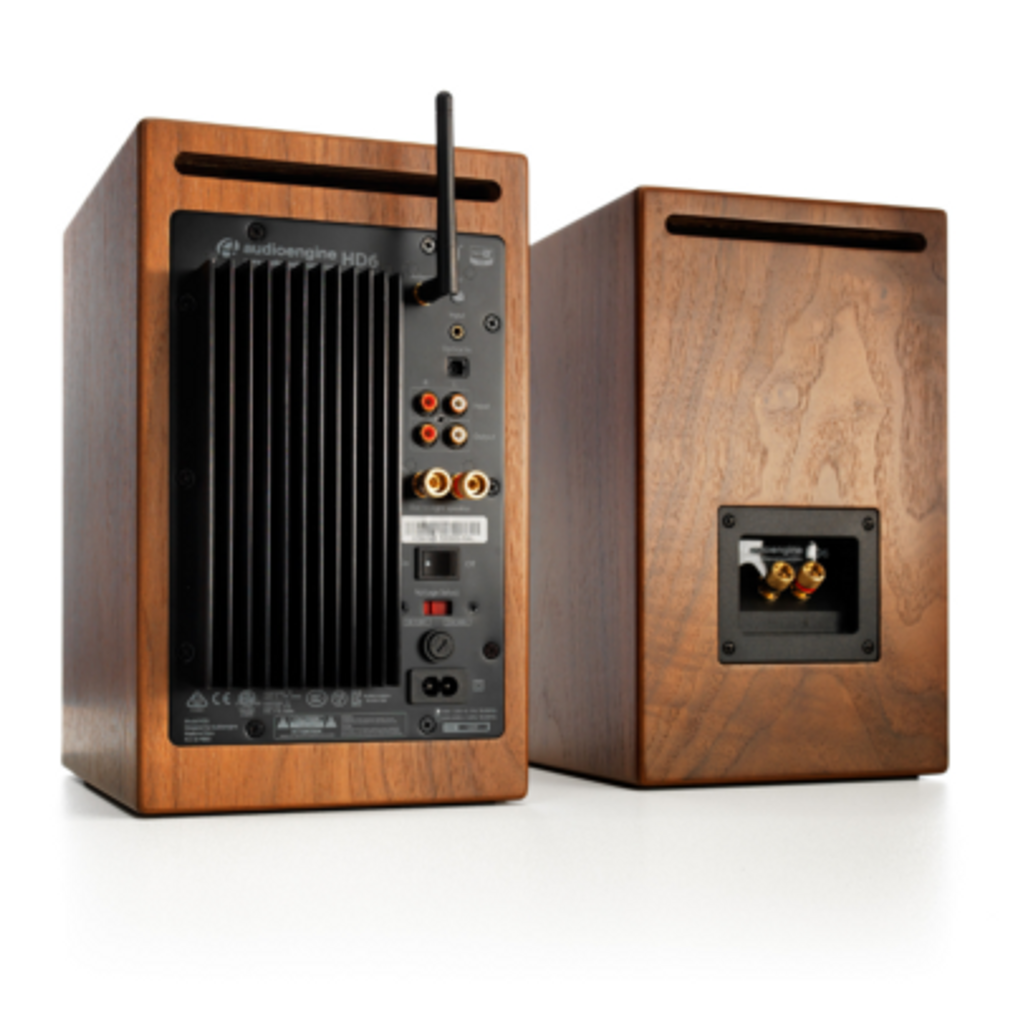 audioengine hd6 walnut