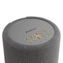 Audio Pro Addon A10 MK II W Wireless Bluetooth Multiroom Speaker (Dark Grey)