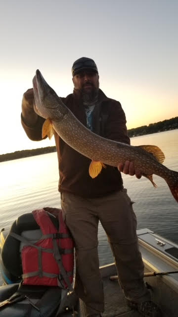 dom.ramano.40inch.-pike.jpg