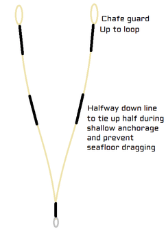 MANTUS UNIVERSAL BRIDLE
