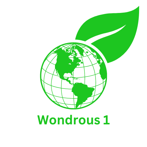 wondrous-1.png