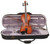 Stentor 1542 Stentor Graduate Violin. 4/4