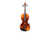 Barcus Berry BAR-AEV Vibrato AE Series Acoustic-Electric Violin. Natural