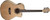 Washburn AG40CE Apprentice Series Grand Auditorium Cutaway Acoustic Electric Guitar