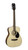 Cort AF510OP Standard Series Acoustic Concert Guitar. Open Pore Natural