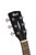 Cort AF510EOP Standard Series Acoustic Electric Concert Guitar. No Fret Guitar Camp Exclusive
