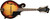 Washburn M3SW Americana Series F-Style Mandolin. Tobacco Sunburst