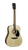 Cort CAP10OP Trailblazer Acoustic Guitar Pack