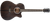 Ebony ACE