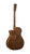 Cort Exotic Series GA Walnut Acoustic Electric Guitar. Sunburst Finish