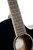 Cort Exotic Series SFX Ash Acoustic Electric Guitar. Black Finish