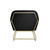 CHARLES ARMCHAIR BLACK VELVET / BRUSHED GOLD