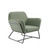 CHARLES ARMCHAIR SAGE VELVET / MATTE BLACK