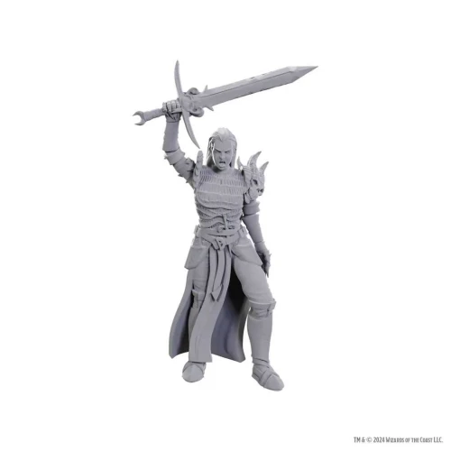 Blackguard: D&D Nolzur's Marvelous Unpainted Miniatures (W25)