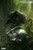 Swamp Thing #8 Variant Cover