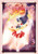 Sailor Moon 3 (Naoko Takeuchi Collection)