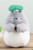 My Neighbor Totoro Dondoko Dance Plush Figure Big Totoro Medium