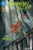 Poison Ivy #45 Cvr A Jessica Fong (2026)