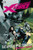 Uncanny X-Force: Apocalypse Solution HC