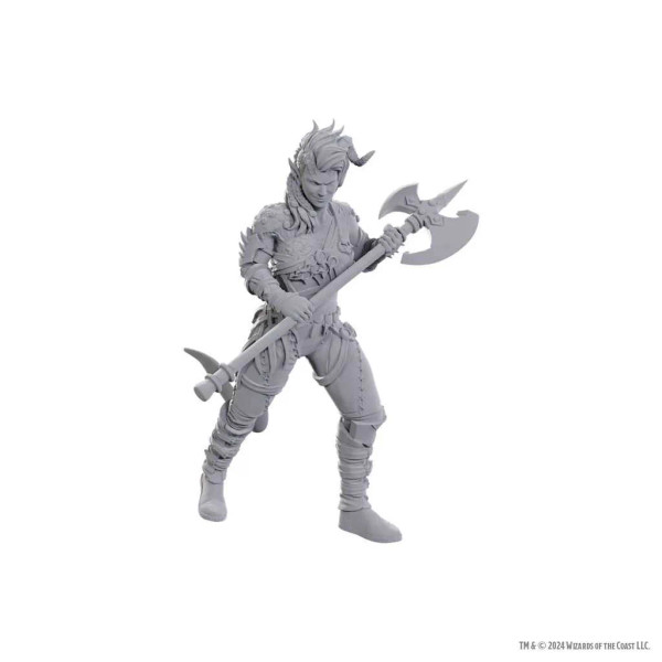 D&D Nolzur's Marvelous Unpainted Miniatures: Special Edition Baldur's Gate 3 - Wyll & Karlach