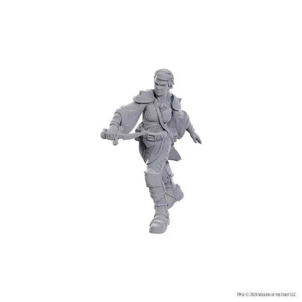 Swashbuckler: D&D Nolzur's Marvelous Unpainted Miniatures (W25)