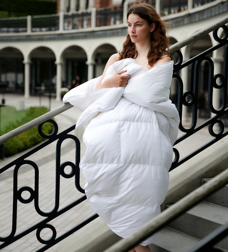 Goose with Eiderdown Comforters