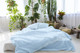 Linen Pillow Cases in *Blue* Twin / Euro / King