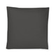 Single Pillow Case 31x31 inch PARIS in anthracite