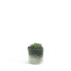 Wool Felted Flower Pot in moss green