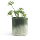 Wool Felted Flower Pot in moss green