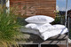Goose Down Comforter / LIGHTWEIGHT / SUMMER / US QUEEN / 92" x 90"