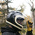 Biltwell® Work Gloves - Gold/Suede - 1503-0707 - Image 6