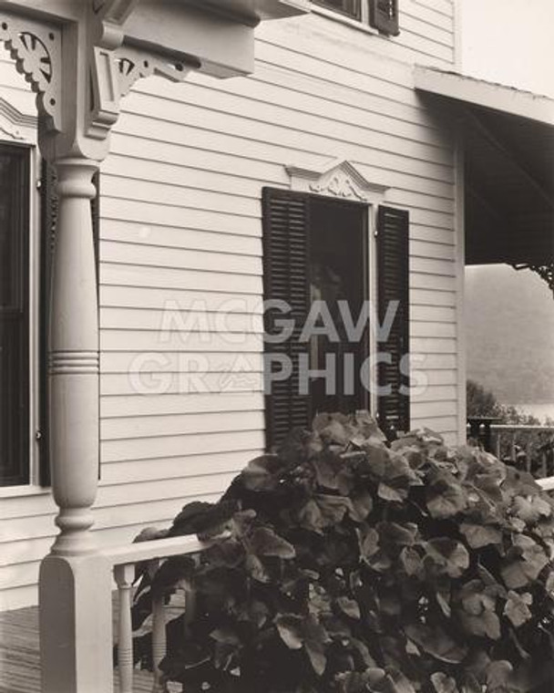 Stieglitz: House and Grape Leaves Print