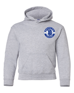 Highlander Park Falcons Heavy Blend Pullover Hoodie Youth