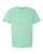 Comfort Colors 100% ring-spun cotton Unisex Tshirt