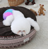 Winter Hug Cushion (rudolph)